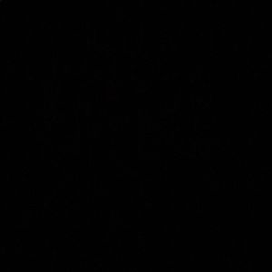 Meet your Posher, Mikayla